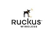 Palvelu ja tuki - Ruckus Wireless Ruckus loppukäyttäjän WatchDog Premium -tuki - S01-VSPT-3000